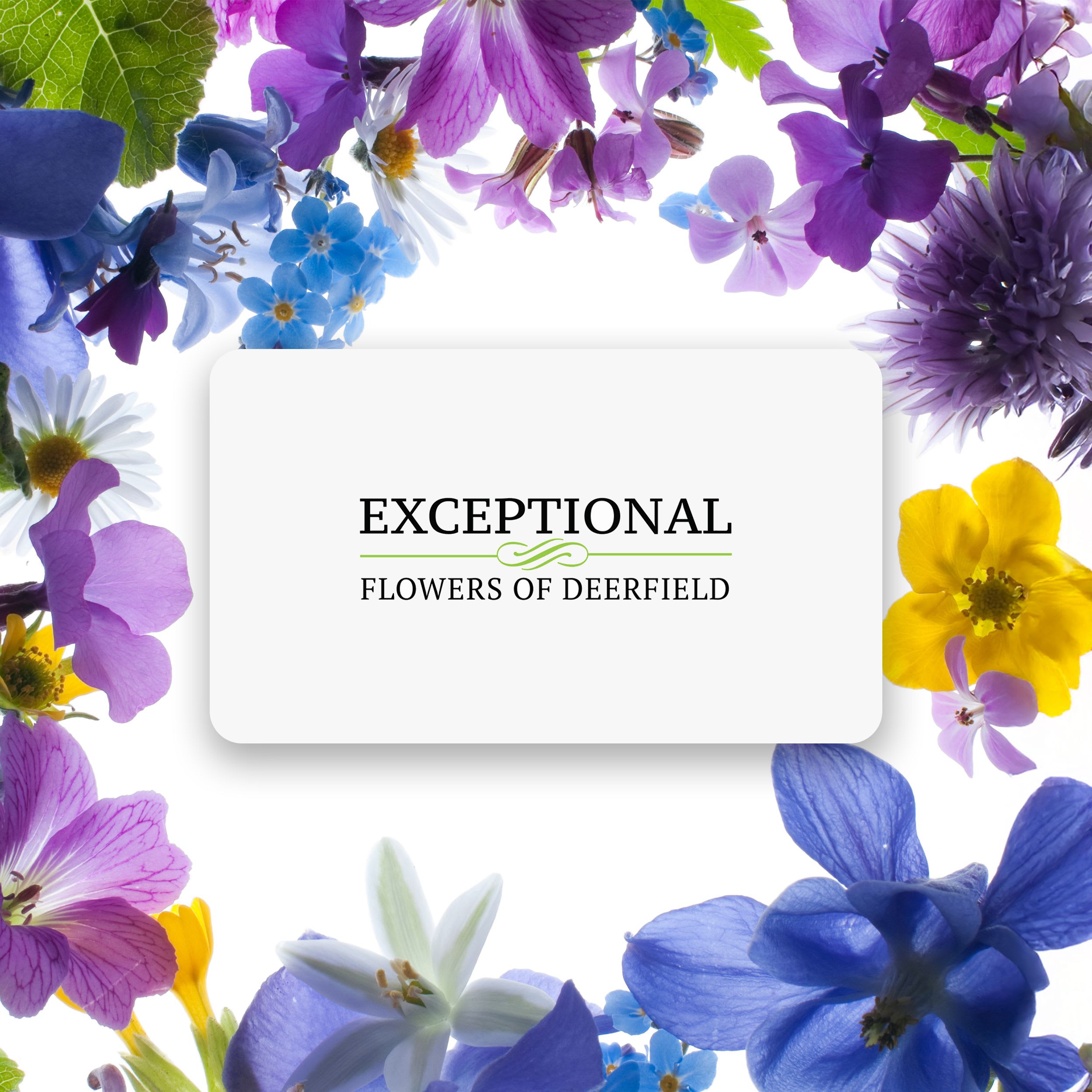 Floral logo card framed by purple, blue, yellow, and white flowers
