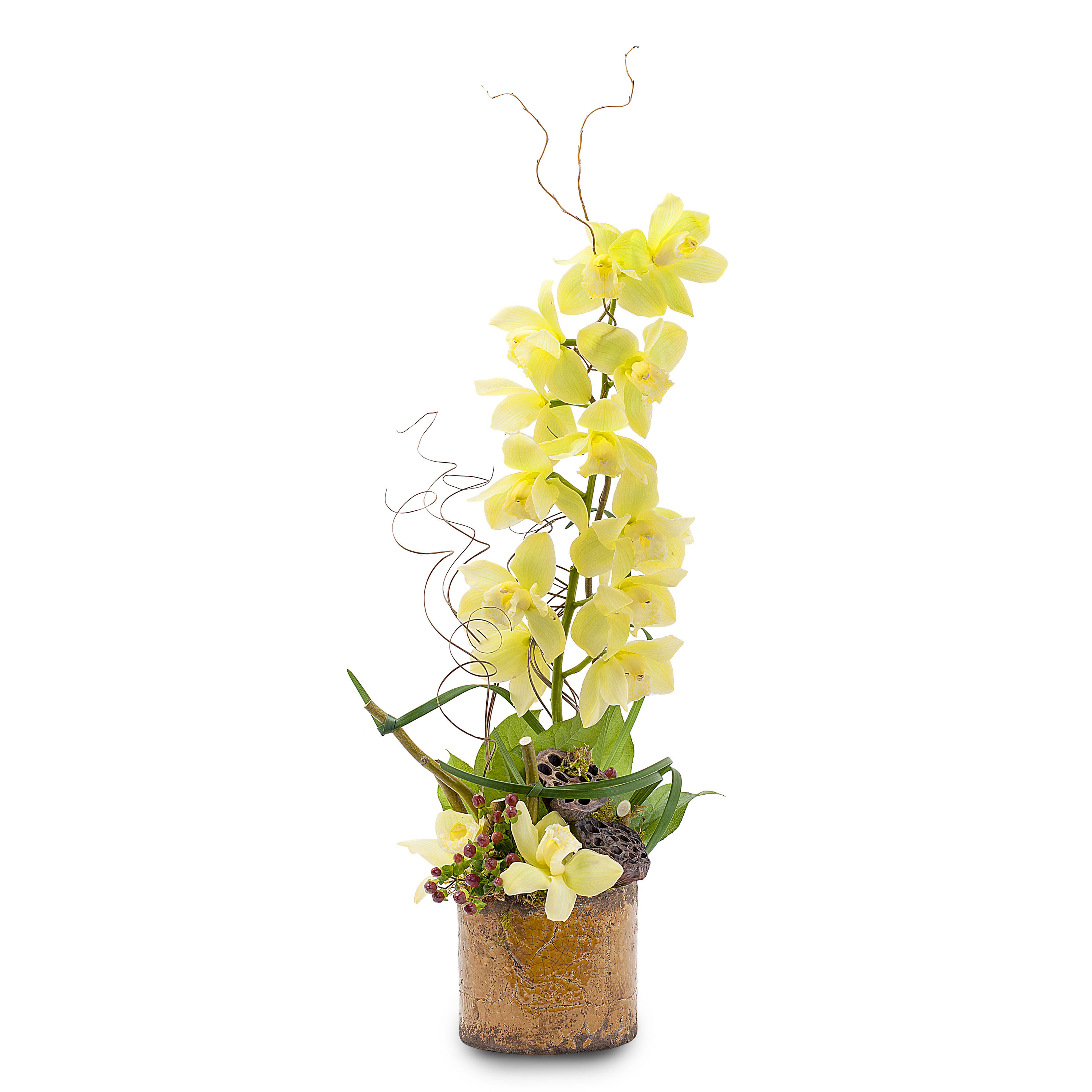 Urban Glow  - Lovely, bright Orchids in a unique, urban cylinder.  Approximately 5" W X 16" H (Color and container may varied)