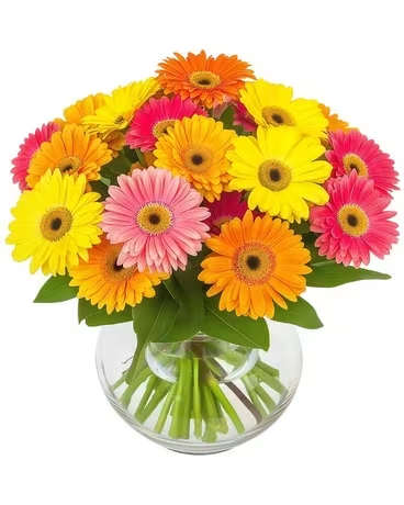 Bright gerbera daisy bouquet in a clear glass vase