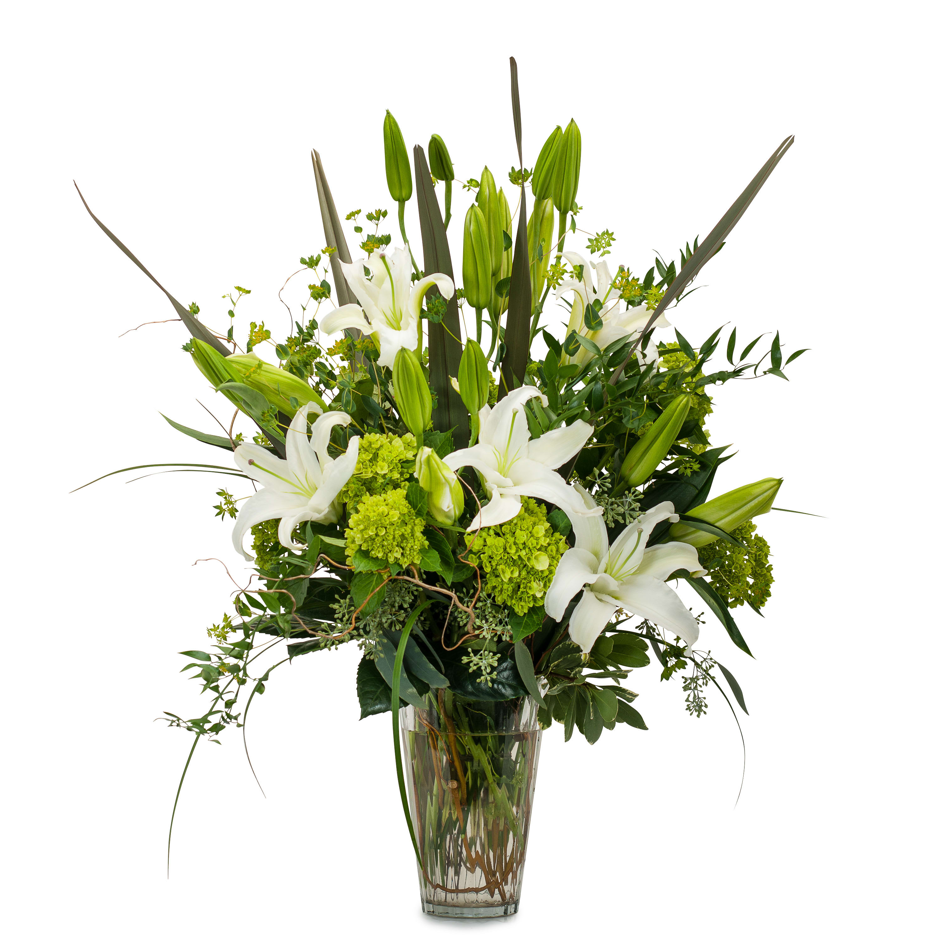 Naturally Elegant Vase - An elegant combination of premium foliage, green hydrangea and hybrid lilies in a clear vase. Approximately 21"W X 31"H
