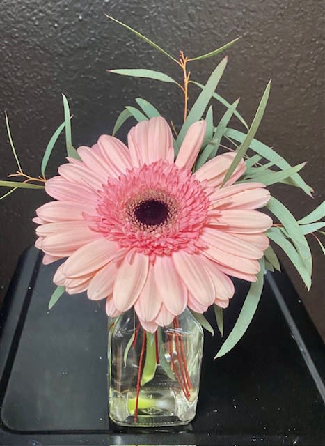 Pink gerbera daisy in a clear glass vase with airy greenery
