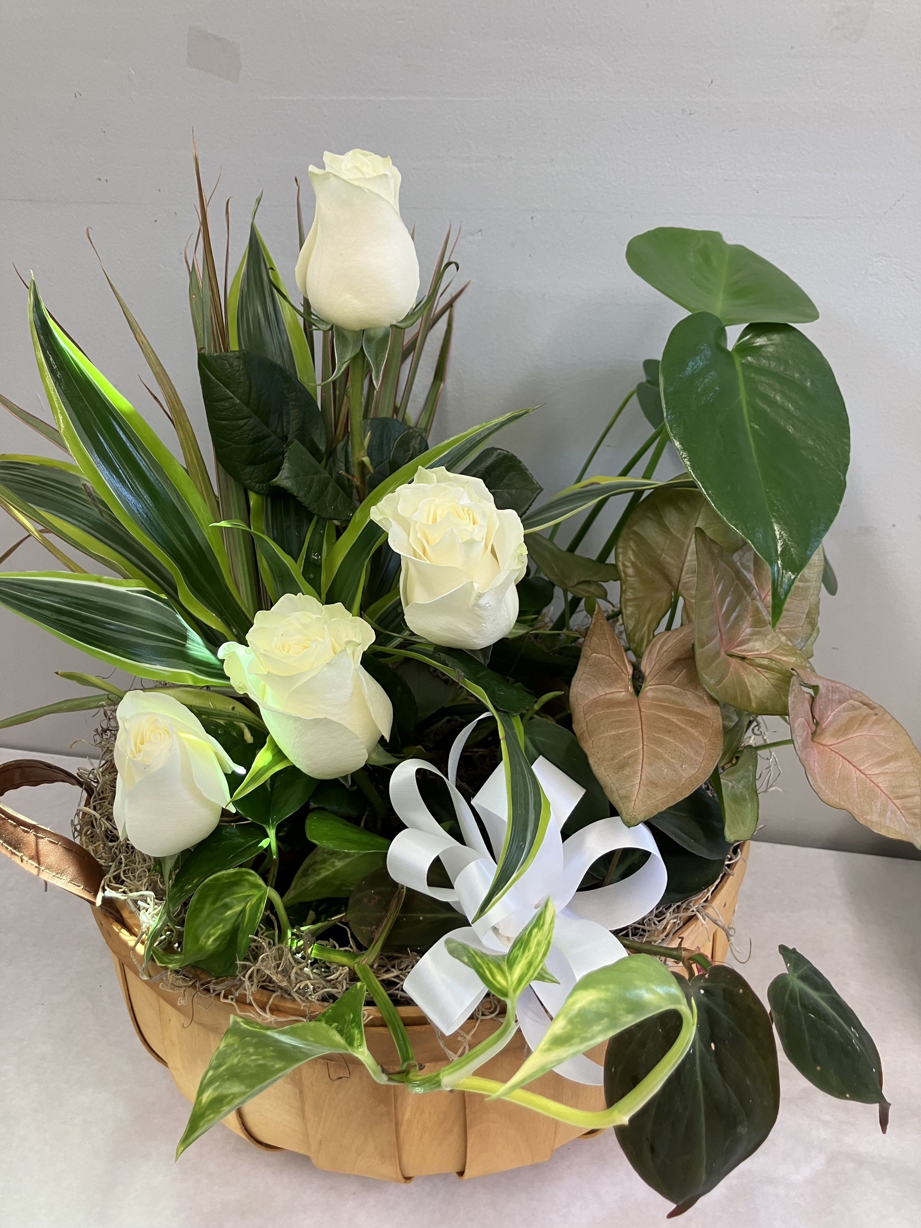 White roses arranged in a basket with assorted tropical foliage and a white ribbon