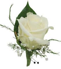 White rose boutonniere with tiny white filler flowers and two black-headed pins