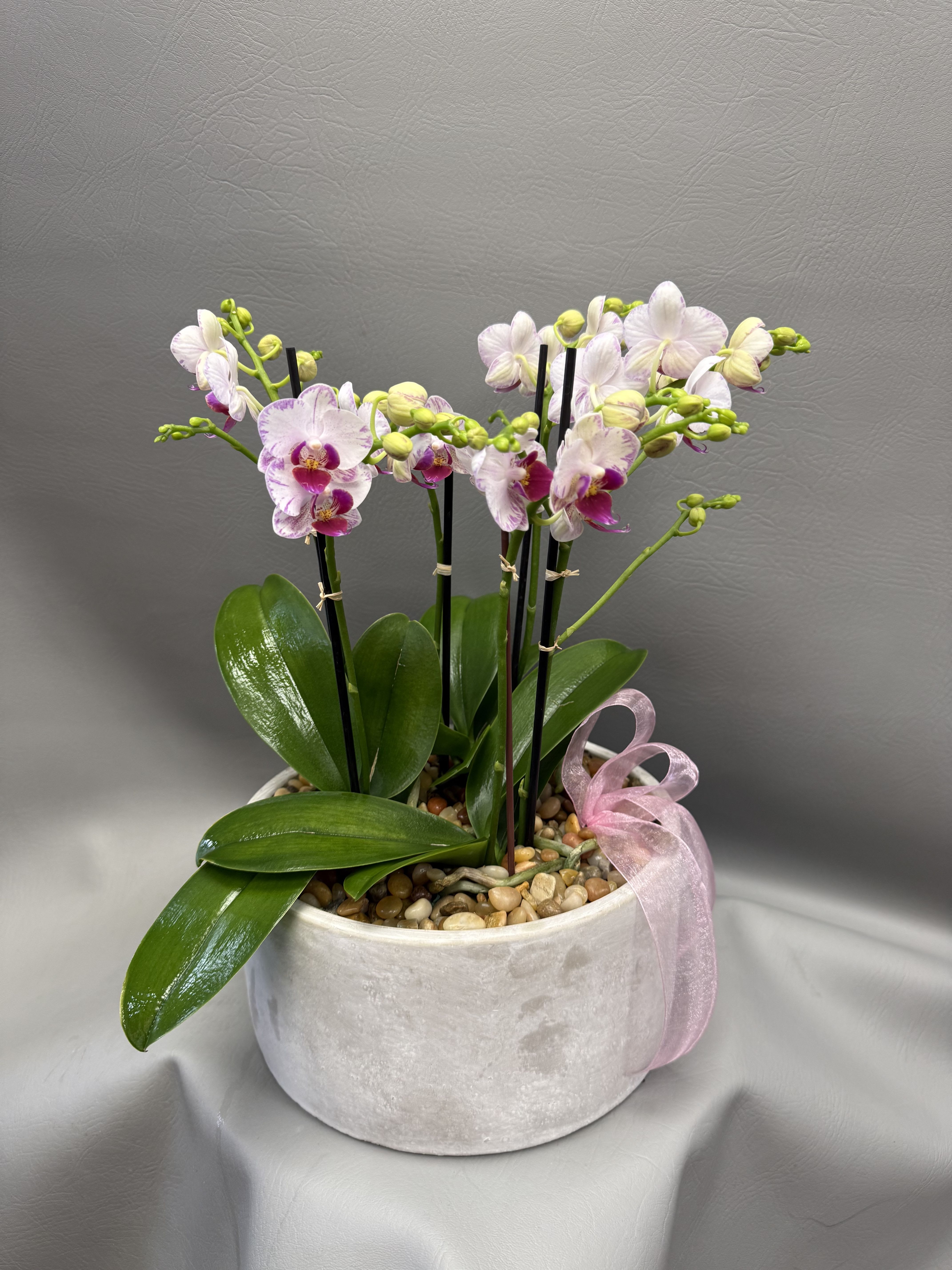 Mom’s Garden of Grace - A timeless orchid garden featuring soft pink blooms that symbolize love, admiration, and gratitude. Arranged in a modern planter. This elegant gift beautifully honors Mom with natural beauty and heartfelt charm.