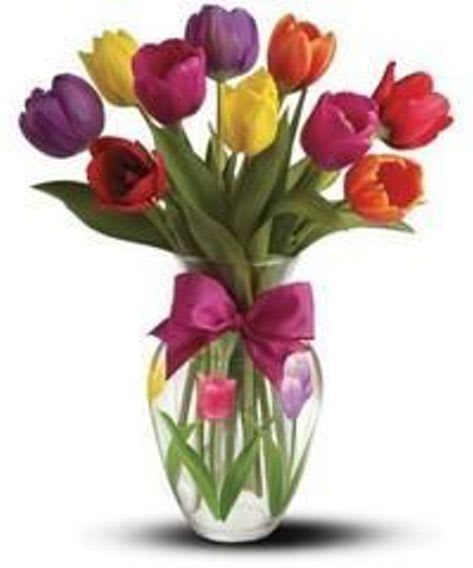 Colorful tulips in a clear glass vase with a pink bow