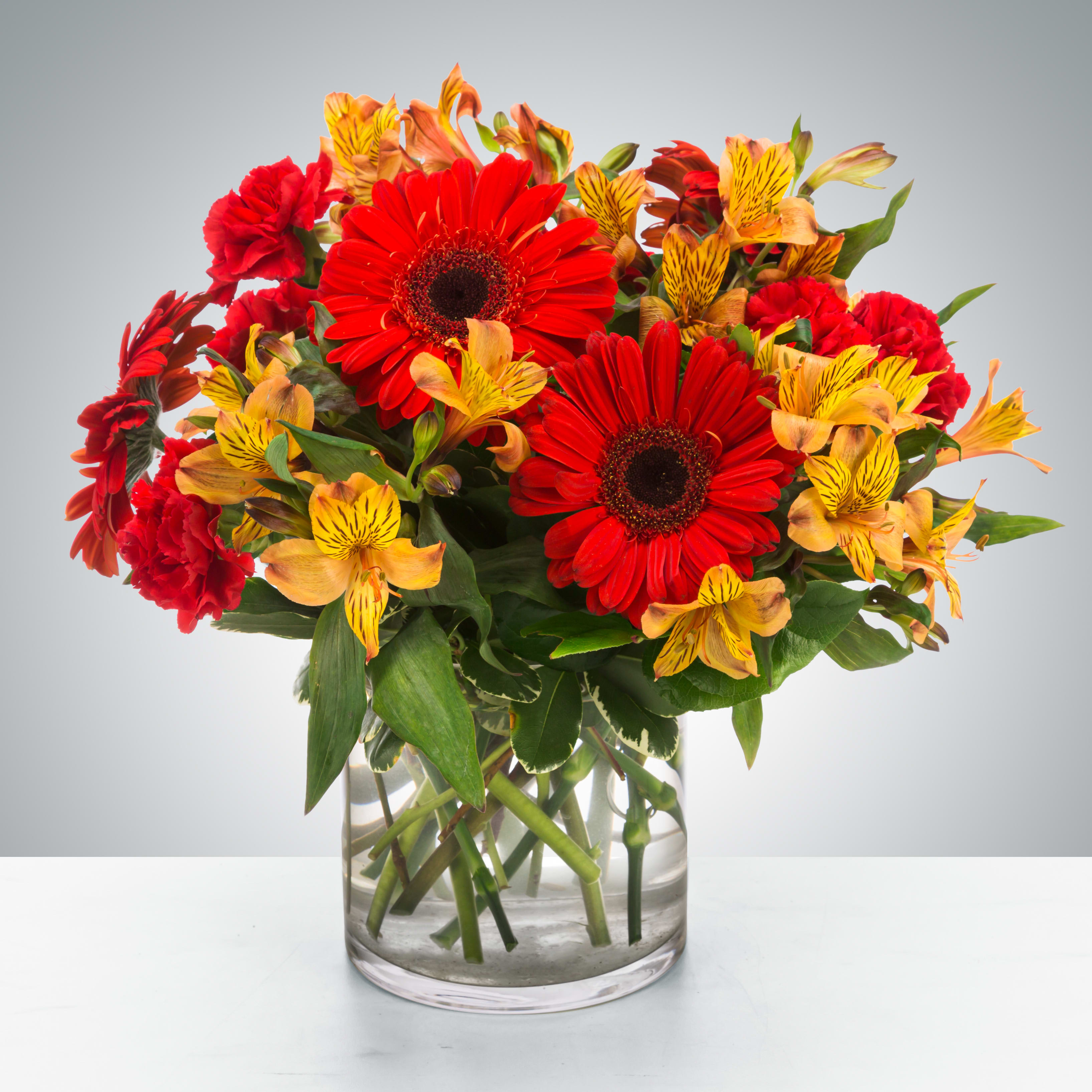 Bouquet of red gerbera daisies and orange alstroemeria in a clear glass vase