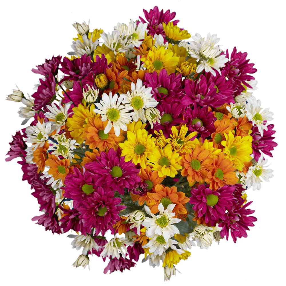 Mixed bouquet of daisies in pink, yellow, orange, and white