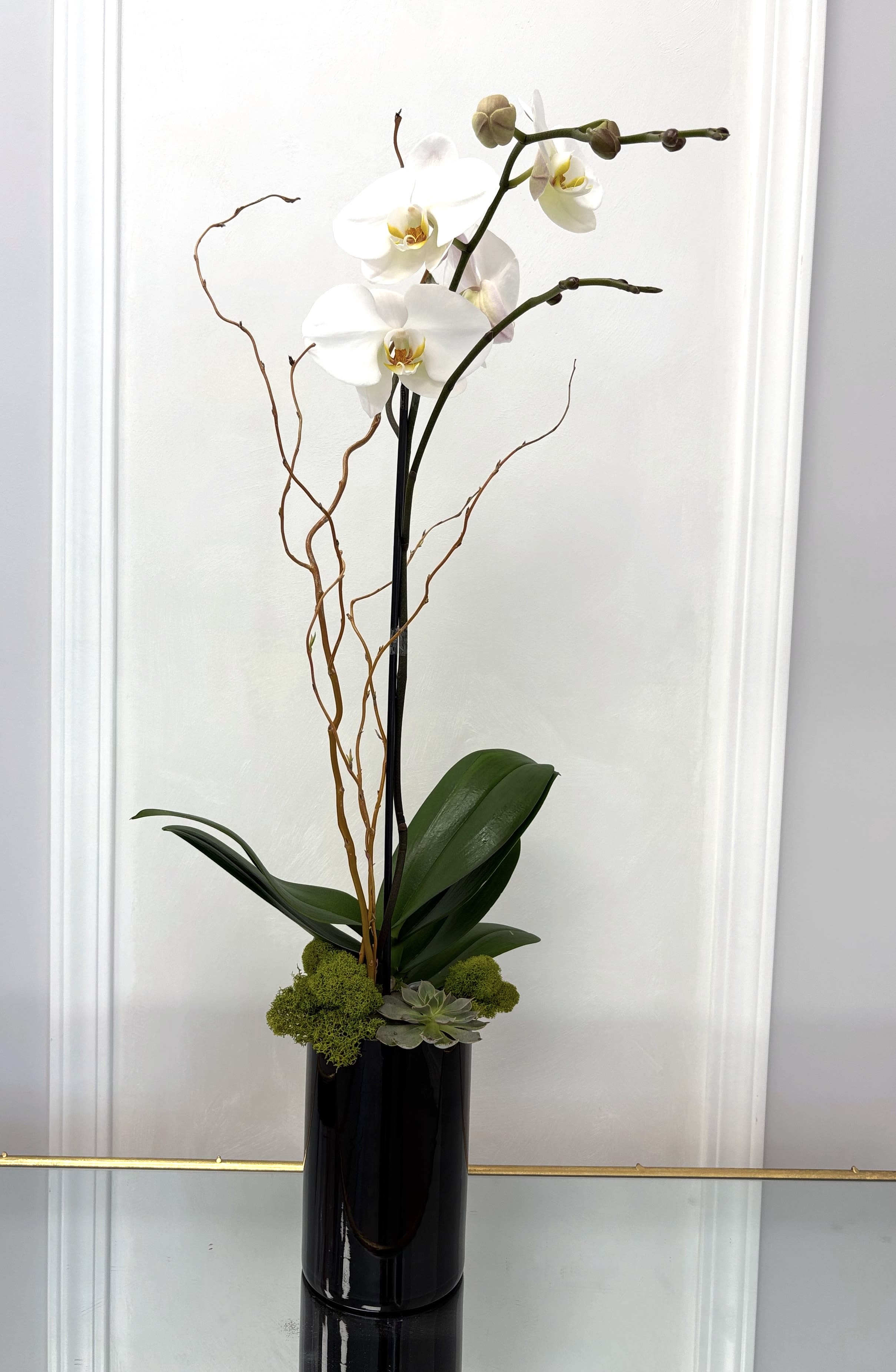 White orchid arrangement in a tall black vase with moss and succulents