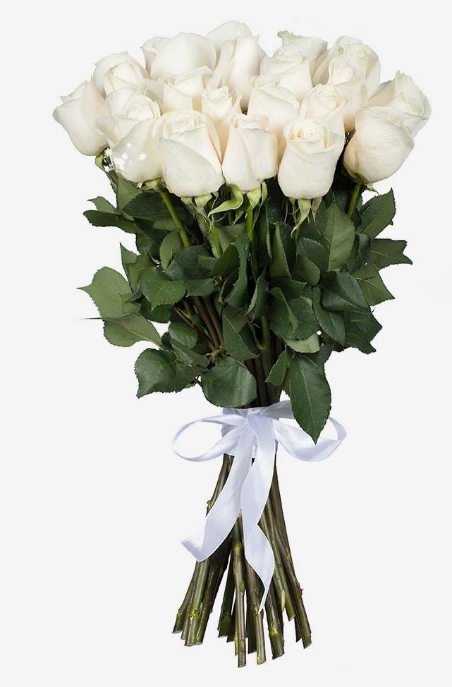 Bouquet of white roses tied with a white ribbon