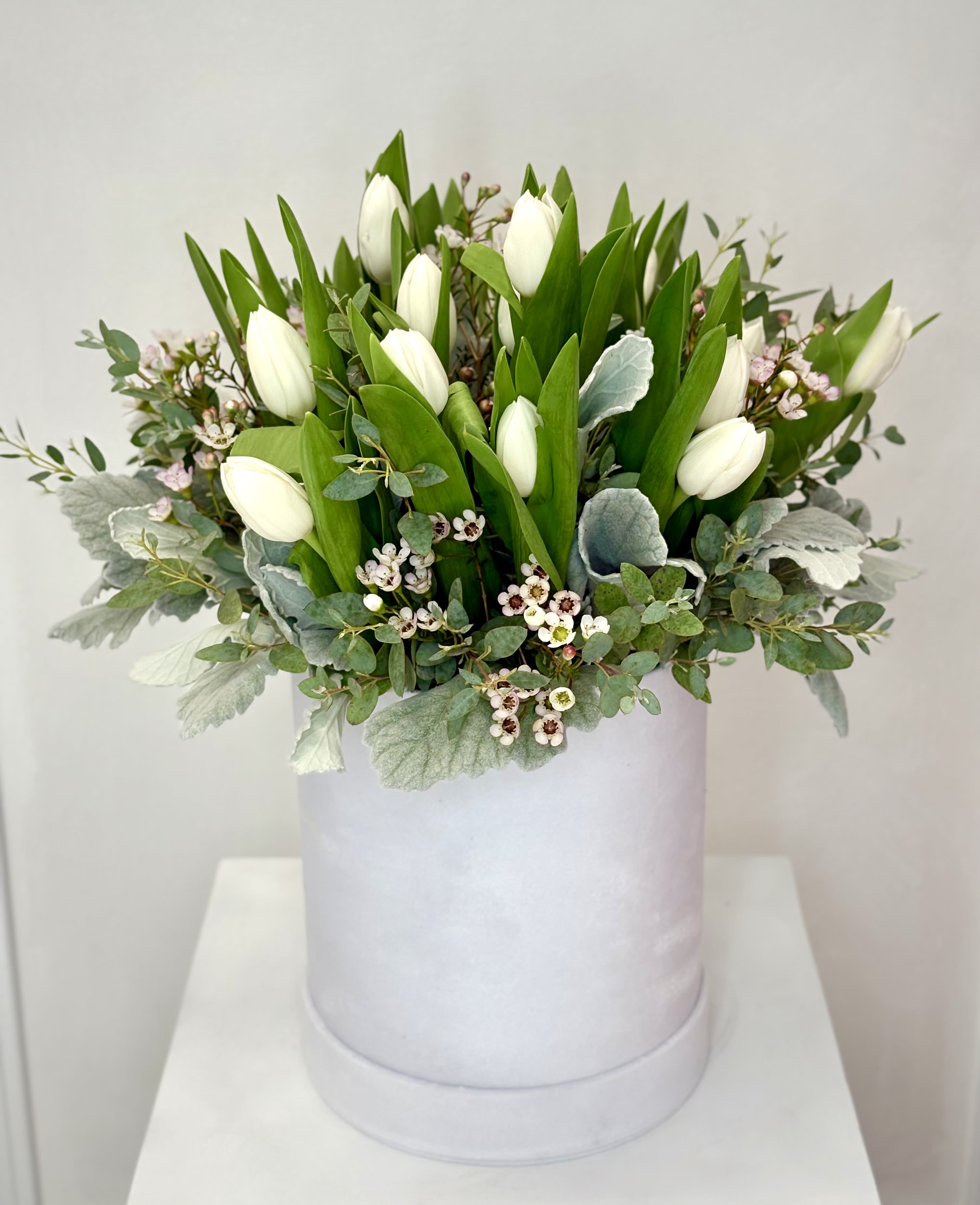 White tulips arranged in a pale round box with greenery