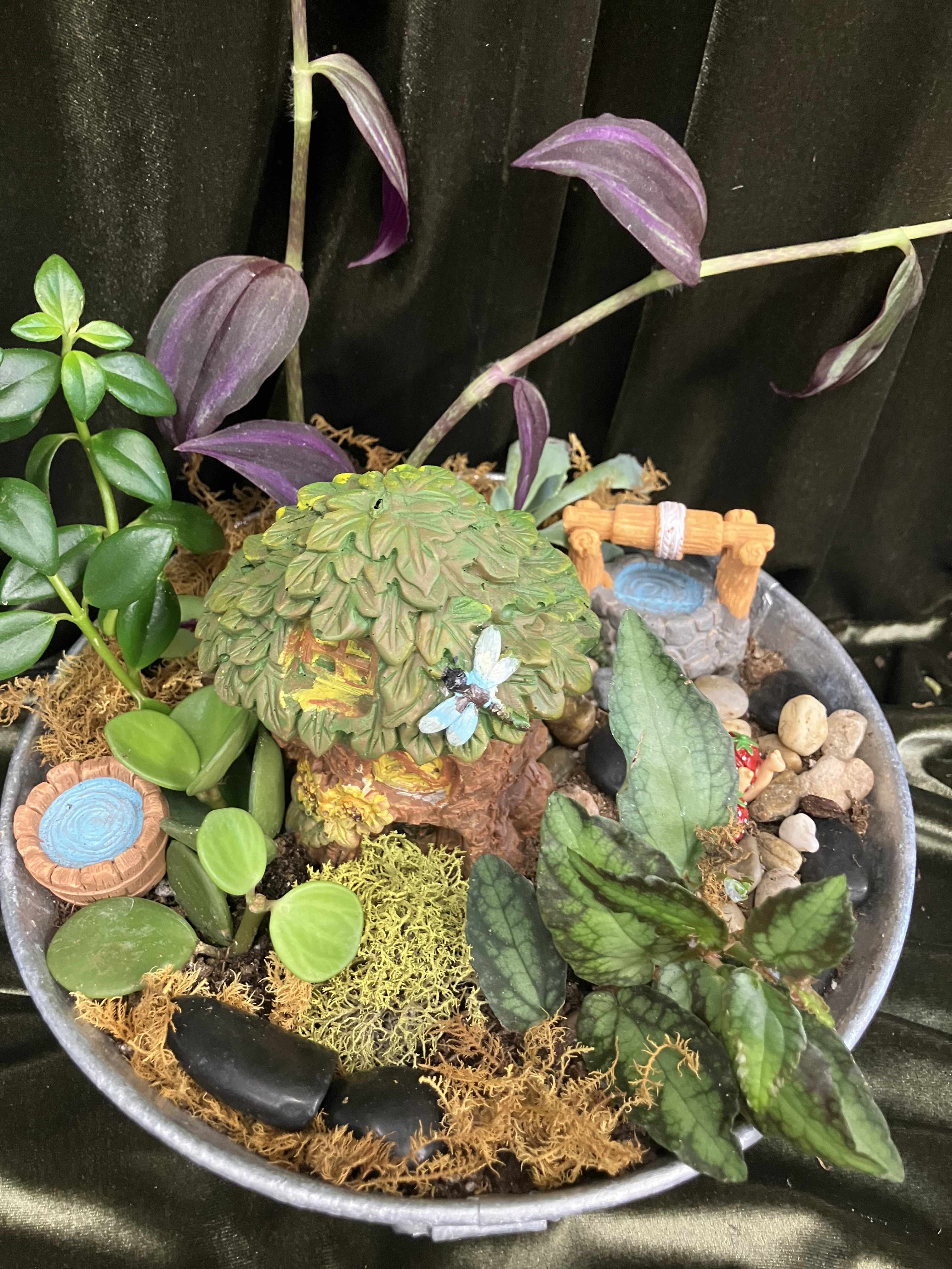Miniature potted plant garden with assorted foliage and tiny decorative accents