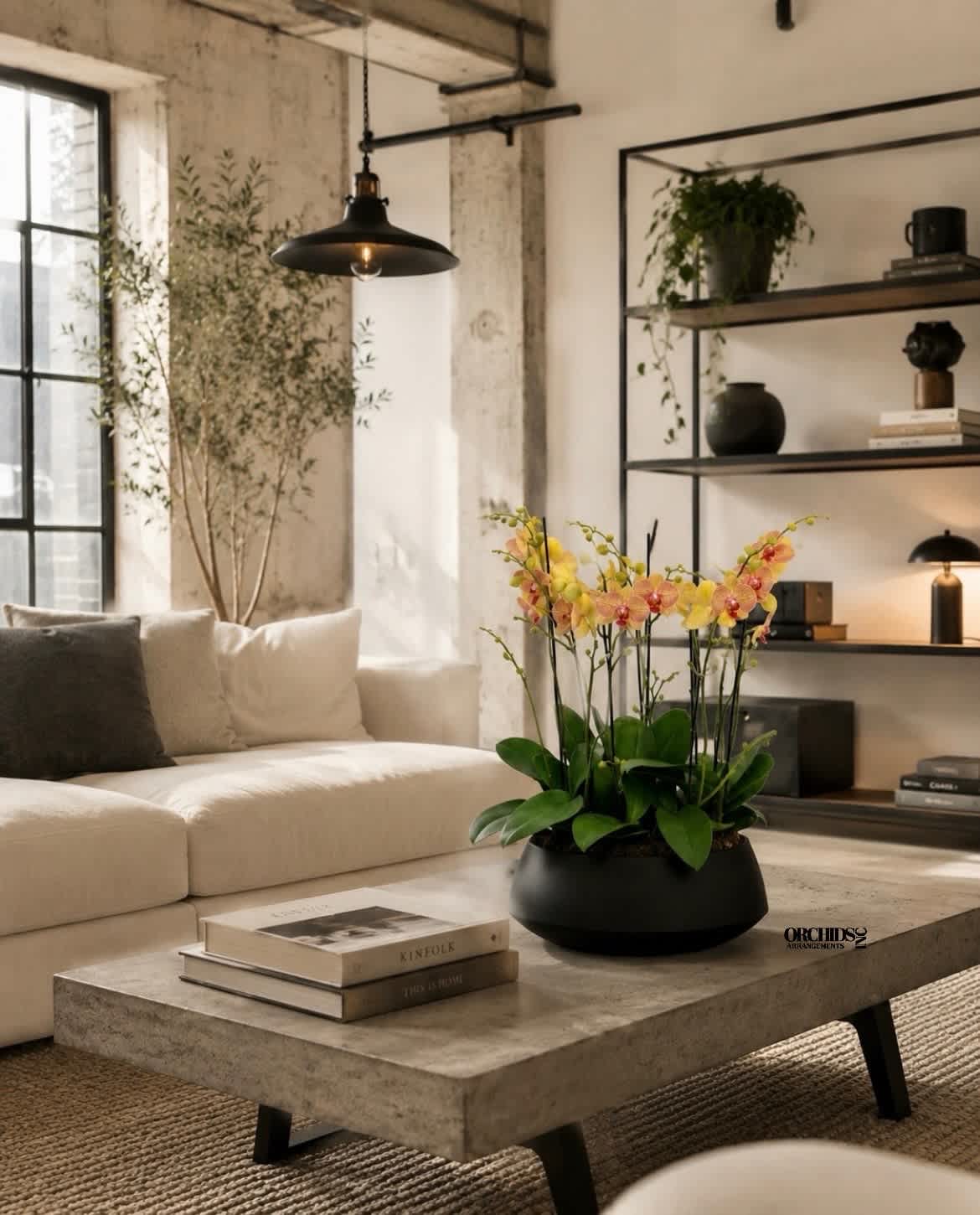 Potted orchid arrangement in a black bowl on a coffee table