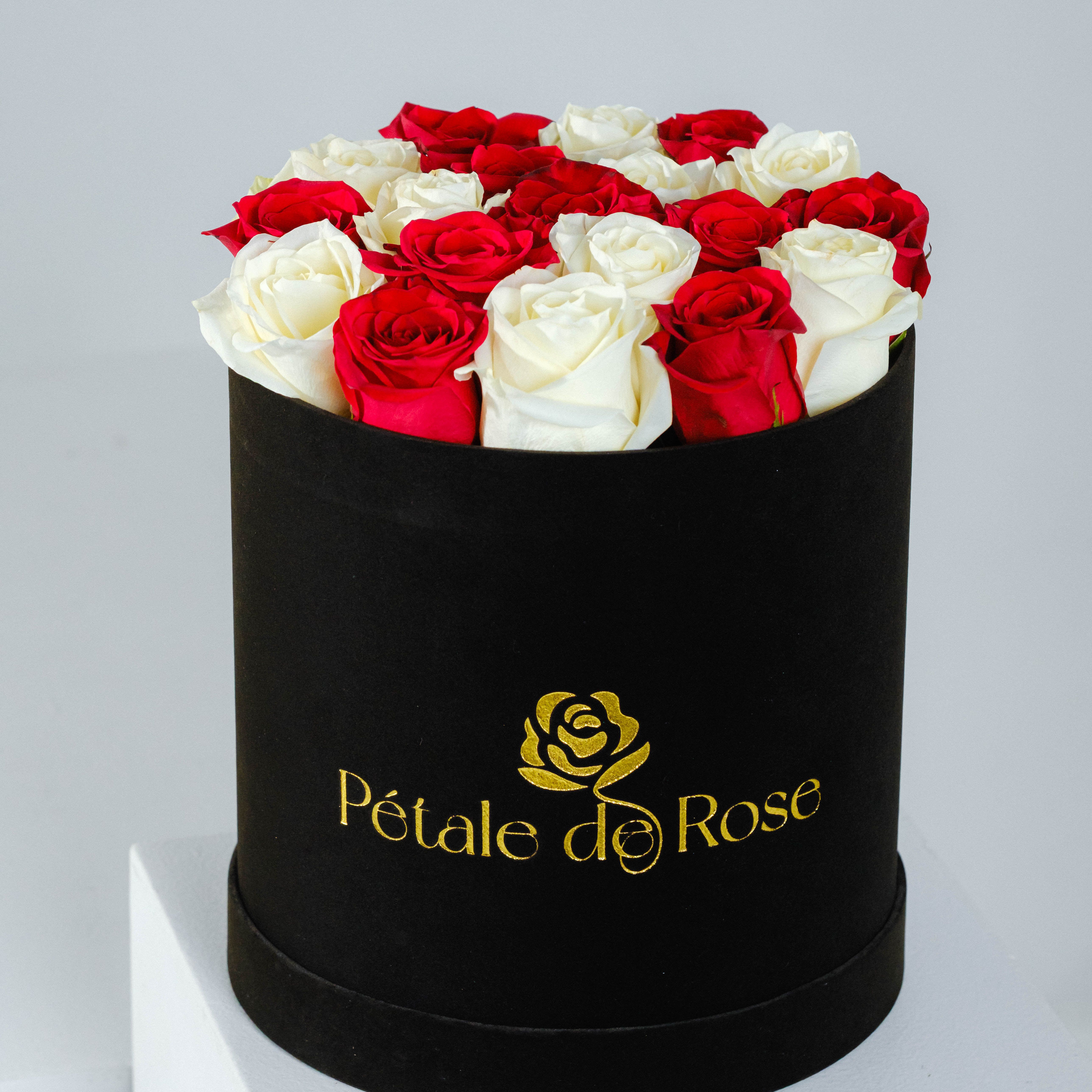 White and Red Large Velvet - Velvet Box to surprise with red and white roses, showing elegance and romance all together.