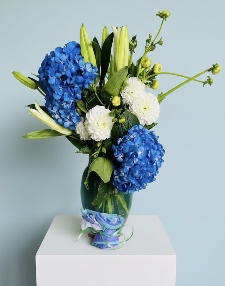 Wellness Bouquet - Imagine the person you're thinking of pausing to take in a cool, calming bouquet that says "I'm with you"-the Wellness Bouquet is a thoughtful flower arrangement perfect for a Just Because gift, Thank You, birthday, or sympathy gesture. Two large clusters of vivid blue hydrangeas form a striking focal, contrasted by crisp white lilies and white chrysanthemums that lift the eye with tall buds and branching accents. The blue-and-white palette reads as both celebratory and serene, so it also suits anniversaries, new baby visits, springtime greetings, or a tasteful wedding table accent.  Arranged in a clear glass vase with a decorative ribbon at the base, this composition is airy and upright-the lilies provide elegant height while the hydrangeas bring lush volume and the chrysanthemums add delicate texture. Size and shape make it ideal for a bedside table, mantel, or entry console; the cool tones convey calm and clarity for get-well wishes or thoughtful condolences without feeling heavy. Order with confidence for Mother's Day, Easter, Valentine's Day, a congratulations bouquet, or simply to let someone know you're thinking of them.