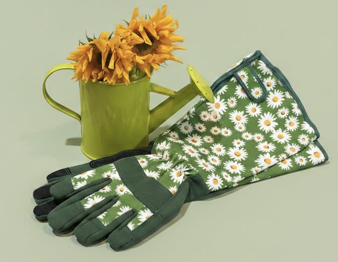  garden gift set w/mini bunch of sunflowers (*not shown) - A small cluster of golden sunflowers brightens any room and makes a cheerful housewarming gift or a sunny "just because" surprise. This garden-themed flower arrangement pairs the warm yellow blooms with a green metal watering can and matching gardening gloves printed with white daisies, so the person you're thinking of will feel instantly uplifted-perfect for spring, a birthday, or to bring a bit of outdoor charm inside.  The arrangement features compact sunflowers in vivid yellow set against fresh green accents, arranged to sit beside the sturdy green watering can (a decorative hard-good) and the coordinating daisy-printed gardening gloves. The combination reads playful and practical: sun-soaked color, tactile metal and cotton, and a compact size that fits on a kitchen counter, entry table, or windowsill.  Give this to a new homeowner, a mom who loves tending plants, or a friend celebrating a birthday to say you noticed what brings them joy. Care is simple-place the sunflowers in fresh water and keep them out of direct afternoon sun; the gloves and watering can arrive ready to use or display as a cheerful keepsake.