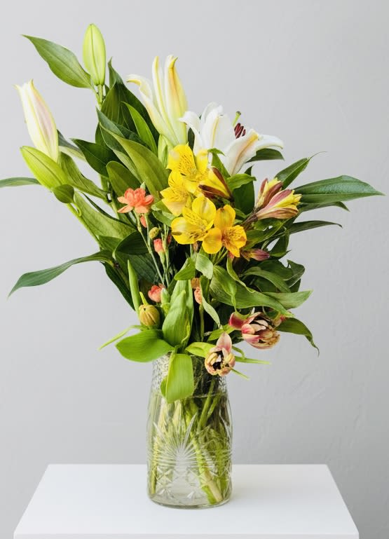 Alstroemerias and Lilies  - Tall white lilies rise above cheerful yellow alstroemerias with soft pink accents in this airy, garden-inspired flower arrangement-an uplifting bouquet perfect for a birthday, Thank You, Mother's Day, or a bright "thinking of you" moment. The upright silhouette and fresh white, yellow, and green palette also make it an elegant choice for spring and summer events, housewarmings, new baby celebrations, or to bring calm to sympathy and funeral services when white blooms are preferred.  Each stem is gathered with abundant broad green foliage for a layered, lush look and presented in a clear glass vase that keeps the design feeling clean and contemporary. The mix of open lily blooms, buds, and alstroemeria clusters creates texture and gentle movement so the recipient will feel seen and celebrated. Ideal for Thanksgiving, graduations, weddings, get well wishes, or simply a Just Because gift-this arrangement arrives ready to display; trim stems and refresh vase water every few days to extend vase life.