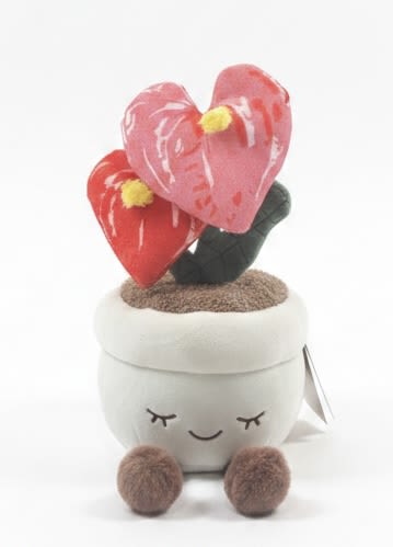 Anthurium plant plushy  - Two glossy, heart-shaped anthurium blooms-one soft pink and one bold red-rise above glossy green leaves to make a playful, romantic gift plant perfect for love and romance, anniversaries, birthdays, or a spontaneous "just because" surprise. The cheerful pairing of colors reads romantic without being overly formal, so the person you're thinking of will feel seen and delighted whether you're celebrating Valentine's Day, a new baby, graduation, or simply saying thank you.  Planted in a white ceramic planter printed with a friendly smiling face and propped on brown fuzzy feet, this novelty décor piece blends living plant texture with a plush, whimsical personality. The compact size makes it ideal for desks, bedside tables, or nursery shelves; it arrives planted in soil and ready to enjoy. Gentle care-bright, indirect light and moderate watering-keeps the heart-shaped blooms glossy and long-lasting, making this an easy, cheerful way to send get well wishes, congrats, or a sweet pick-me-up any season.