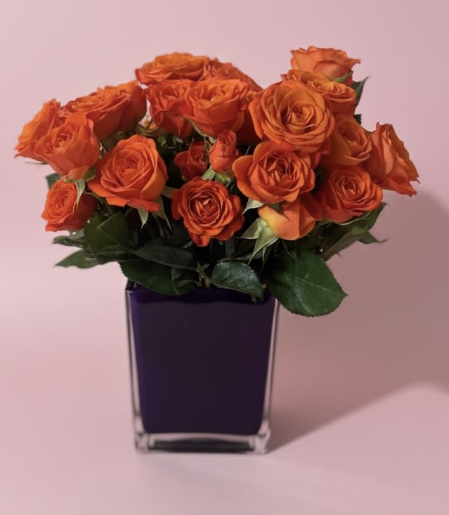 Color block roses-choose your color - A tightly packed dome of vibrant orange roses creates an immediate, joyful impression-perfect as an anniversary bouquet, birthday gift, or just because arrangement. The color-blocked design (choose orange, purple, or green) puts bold, saturated petals center stage so the person you're sending it to feels celebrated and seen the moment it arrives.  Each selection is arranged in a tall square glass vase with a colored insert that deepens the floral tones and gives the composition a polished, contemporary look. Dark green foliage frames the rounded mass of roses for contrast and texture; blooms are gathered closely for a full, compact silhouette that reads like a single lush bloom from across the room.  This is the kind of floral gift that reads romantic and cheerful at once-ideal for partners, close friends, or anyone you want to honor with bright, confident color. Vase included; arrange for delivery to mark birthdays, anniversaries, or to make an ordinary day feel special.