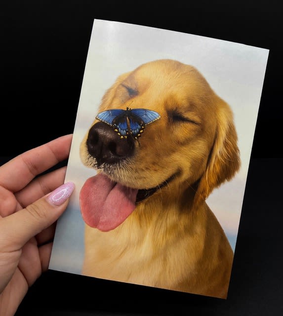 Dog and Butterfly card - A playful close-up of a golden puppy with its tongue out and a bright blue butterfly perched on its nose makes this printed card a cheerful choice for an everyday greeting or a lighthearted birthday card. As a card paired with a flower arrangement or sent on its own, it's perfect for dog lovers, kids, or anyone who could use a whimsical pick-me-up - the yellow-gold tones and pop of blue read as joyful and affectionate.  The card image is centered and simple: warm golden fur fills the frame against a pale background while the vivid blue butterfly provides a striking contrast, with accents of pink and black in the palette. Printed on quality stock, it arrives blank inside for your personal message and pairs beautifully with sunny yellow or soft pink bouquets to amplify the playful, heartwarming sentiment.