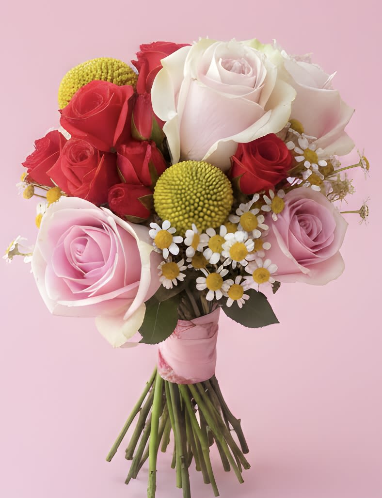 Hand Bouquet w/roses and chamomile - Soft pink and white roses layered with pops of bright red make this hand-tied bouquet an unmistakably romantic choice for anniversaries, birthdays, or a just-because surprise. Tiny white chamomile-like daisies and round yellow chrysanthemum accents weave cheerful texture through the roses, so the person you're thinking of will feel both cherished and uplifted the moment they see it.  Tightly gathered and finished with a pink ribbon and bouquet wrap, the compact, rounded shape sits beautifully in the hand or a vase. Colors: white, yellow, pink, red. Flowers included: roses (large pink and white, smaller red), chrysanthemums, daisies/chamomile, plus complementary foliage. Ideal for love and romance, Valentine's Day, Mother's Day, weddings, prom, new baby welcomes, spring or summer celebrations - and a thoughtful choice for sympathy when a gentle, bright touch is appropriate. Simple care: recut stems and place in fresh water to extend bloom life.