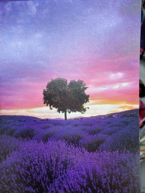 Nature Blank card - A dreamy landscape scene in soft pinks, purples, blues, and a warm yellow glow-this Nature Blank card feels like a small piece of art to send with flowers for a Just Because, Thinking of You, or spring birthday note. The image of a dense field of lavender-hued blooms stretching toward a solitary tree at the horizon creates a calm, expansive mood that will make the person you're thinking of feel seen and soothed.  Printed like scenic wall art rather than a decorative floral motif, the card's layered bands of color-pastel sky, purple meadow, and the striking silhouette of the tree-pair beautifully with bouquets in complementary pink, purple, yellow, or blue tones. Use it with a bouquet to mark a spring celebration, a casual "hello," or a birthday message; the blank interior gives you room for a personal note that makes the moment feel truly meant for them.