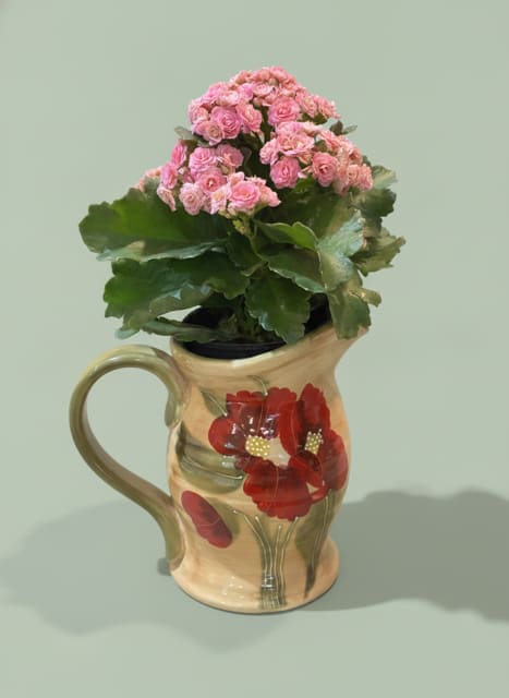 Flowering Ceramic Pitcher - A cheerful, homey floral gift that feels like a cozy kitchen find-this flowering ceramic pitcher arrangement is perfect as an everyday gift or casual celebratory bouquet for birthdays, housewarmings, or to say "I'm thinking of you." The compact mound of soft pink carnations and glossy green foliage rises from a plastic nursery pot tucked inside a warm beige ceramic pitcher with hand-painted red floral accents and a large, easy-to-grip handle-so it reads like a decorative accent as soon as your person sets it out.  The ruffled pink carnations form a rounded, full silhouette with broad leaves that add lush texture and depth. The pitcher planter brings an unfussy, vintage-inspired charm and doubles as décor after the blooms fade; the arrangement ships with the plant in its black nursery pot for easy watering and placement. Ideal for brightening a countertop, windowsill, or bedside table, this piece makes the recipient feel noticed and comforted without fuss.
