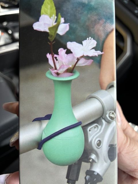 bike vase  - A mint-green bike vase clipped to a handlebar makes a cheerful, unexpected gift that says "thinking of you" without being fussy. Perfect for birthdays, housewarmings, just-because surprises, or a light Father's Day nod, this compact bicycle vase holds a few delicate pink and white blooms so the person you're gifting it to will feel noticed every time they hop on their bike.  The set includes a small mint-green vase that secures to a bicycle handlebar with purple elastic bands and arrives neatly boxed-ready for gifting. Shy, airy stems in soft pinks, whites, blues, greens, and a touch of purple sit above the metallic bike parts for a whimsical contrast; the overall scale is compact and casual, intended as a personal accessory rather than a formal arrangement.  Give it for graduation, thank-you moments, anniversaries, new babies, or summer rides-the bike vase turns everyday errands into tiny celebrations and makes a unique housewarming or holiday stocking stuffer. Care is simple: keep stems fresh with a few drops of water in the vase and swap blooms as needed; the boxed presentation also makes it an easy grab-and-go gift.
