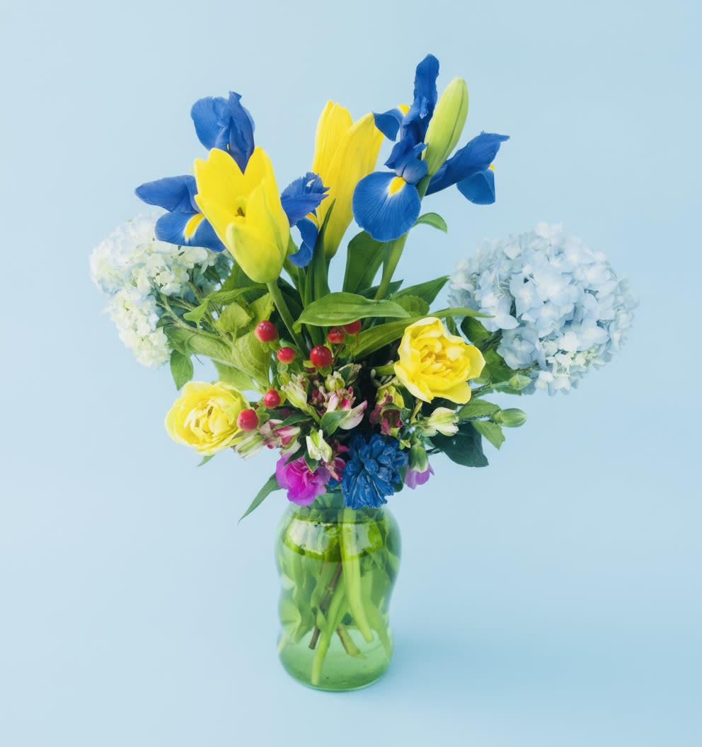Iris and Hydrangea bouquet - Vivid blue iris and bright yellow tulips create an uplifting focal point in this spring bouquet, perfect for a birthday, congratulations, or a cheerful just-because gift. The upright, full design lets the taller irises and tulips rise above soft pale blue and white hydrangea clusters, delivering a bold, high-contrast look that instantly catches the eye and makes the recipient feel celebrated.  Pale blue and white hydrangeas form the rounded base while smaller pink and white accent blooms-like alstroemeria-add delicate texture and movement near the center. Arranged in a simple green glass vase, the color mix of blue, yellow, white, and pink reads fresh and energetic without feeling fussy. The presentation is neat and ready to display on a table or mantle; the vase keeps stems hydrated and the arrangement upright for immediate enjoyment.  This bouquet suits anyone who could use a bright lift-the friend marking a milestone, the colleague you want to congratulate, or the person you're thinking of today. Order as shown for a design that arrives full and springlike; stems are arranged for lasting color and easy care-refresh the water every few days and trim stems slightly for the longest life.