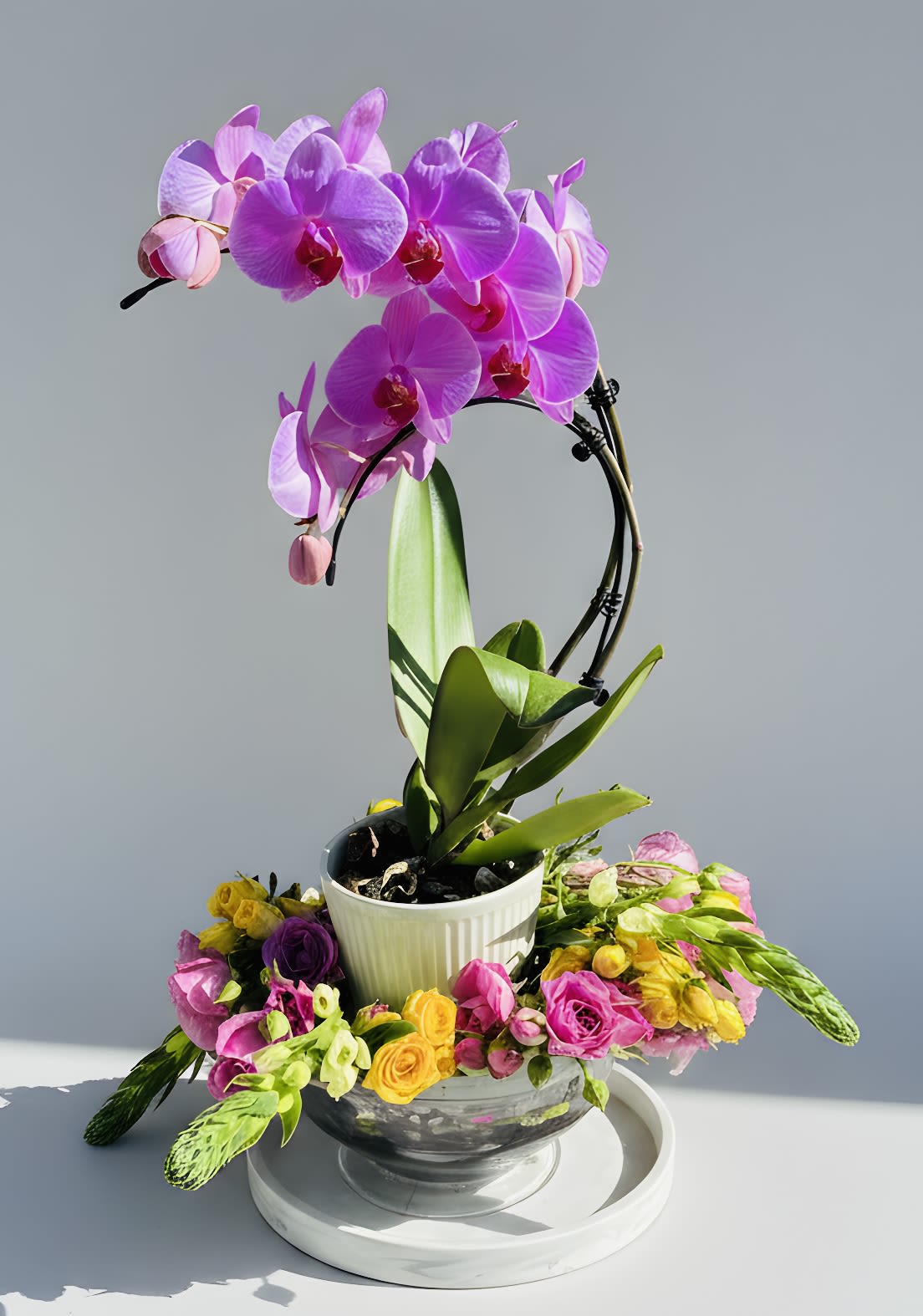 Orchids and Roses Bouquet  - A dramatic purple phalaenopsis orchid plant rises above a cheerful ring of roses-an elegant flower arrangement perfect for a birthday bouquet, thank-you gift, or brightening someone's home. The tall orchid stem and arching blooms create an immediate focal point so the recipient feels admired and celebrated, while the surrounding roses send a warm, joyful message that suits everyday gifting as well as special moments.  This composition pairs smooth, lavender-purple Phalaenopsis orchids with small roses in pink, yellow, and purple for layered color and texture. The orchid is planted in a white ceramic pot and supported discreetly by black stakes; the roses form a vivid base that contrasts the orchid's sleek petals. The arrangement is presented with a clear glass bowl and finished on a white tray for a polished, decorative display that works on tabletops, consoles, or office desks.  Ideal for someone who appreciates living plants with floral flair, this piece makes a lasting impression that keeps on giving-longer-lived orchid blooms above fresh-cut rose color. For placement, choose bright, indirect light for the orchid and avoid drafts; water the orchid sparingly at the pot base while treating the rose ring as fresh-cut stems that appreciate regular water changes.