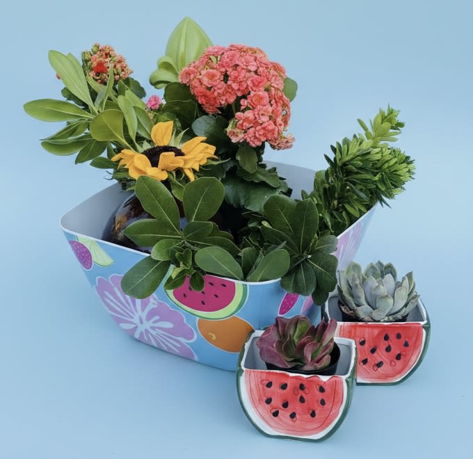 Watermelon succulents fruit bowl bouquet (* comes with complimentary bunch of sunflowers) - Bright, playful and full of texture, this fruit-patterned plant arrangement is a cheerful everyday gift that will make the person you're thinking of smile. As a casual birthday bouquet alternative, housewarming gift, or just-because surprise, the Watermelon succulents fruit bowl bouquet pairs potted succulents and flowering plants in a bright, fruit-patterned container for an immediate pop of color and personality.  The arrangement features a mix of green foliage and clustered pink succulent blooms accented by a sunny yellow daisy-like flower, creating lively contrasts of color and form. Plants are presented in a decorative watermelon-print bowl, with two small matching ceramic watermelon pots included alongside the main piece for added charm and versatility.  Perfect for a kitchen windowsill, desk, or entry table, this low-maintenance gift sends a lighthearted, joyful message without the fuss of cut flowers. Succulents and potted plants require minimal watering and bright, indirect light-choose a size at checkout and order by the date you need it to ensure the recipient enjoys it at peak freshness.