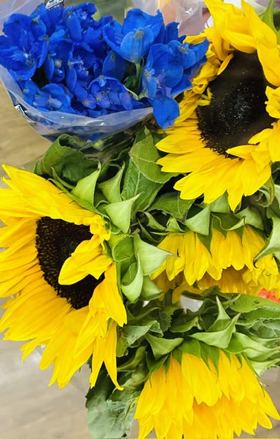 "freestyle Freshies" hand -wrapped flowers - Bright, hand-tied sunflowers take center stage in these freestyle Freshies - a cheerful bouquet perfect for birthdays, thank-you gifts, or just because you want to make someone's day. The look is bold and casual: large golden sunflower heads with dark centers paired against vivid blue or soft hydrangea clusters give a high-contrast, eye-catching impression that reads as joyful and effortless. The color mixes also include pops of pink, white and warm red accents, so the recipient will feel genuinely celebrated whether the moment is summer sunshine or an autumn thanks.  Each hand-wrapped Freshie is finished with clear plastic and decorative paper wrap, secured with a wide black ribbon for a slightly rustic, gift-ready presentation. Flower varieties include sunflowers, hydrangeas, roses, lilies and other seasonal blooms arranged in a full, layered style-expect upright, natural shapes with textured clusters and bright focal blooms. These bouquets arrive ready to display; trim stems and refresh water on delivery to help the mix of sturdy sunflowers and softer florals stay vibrant for several days.
