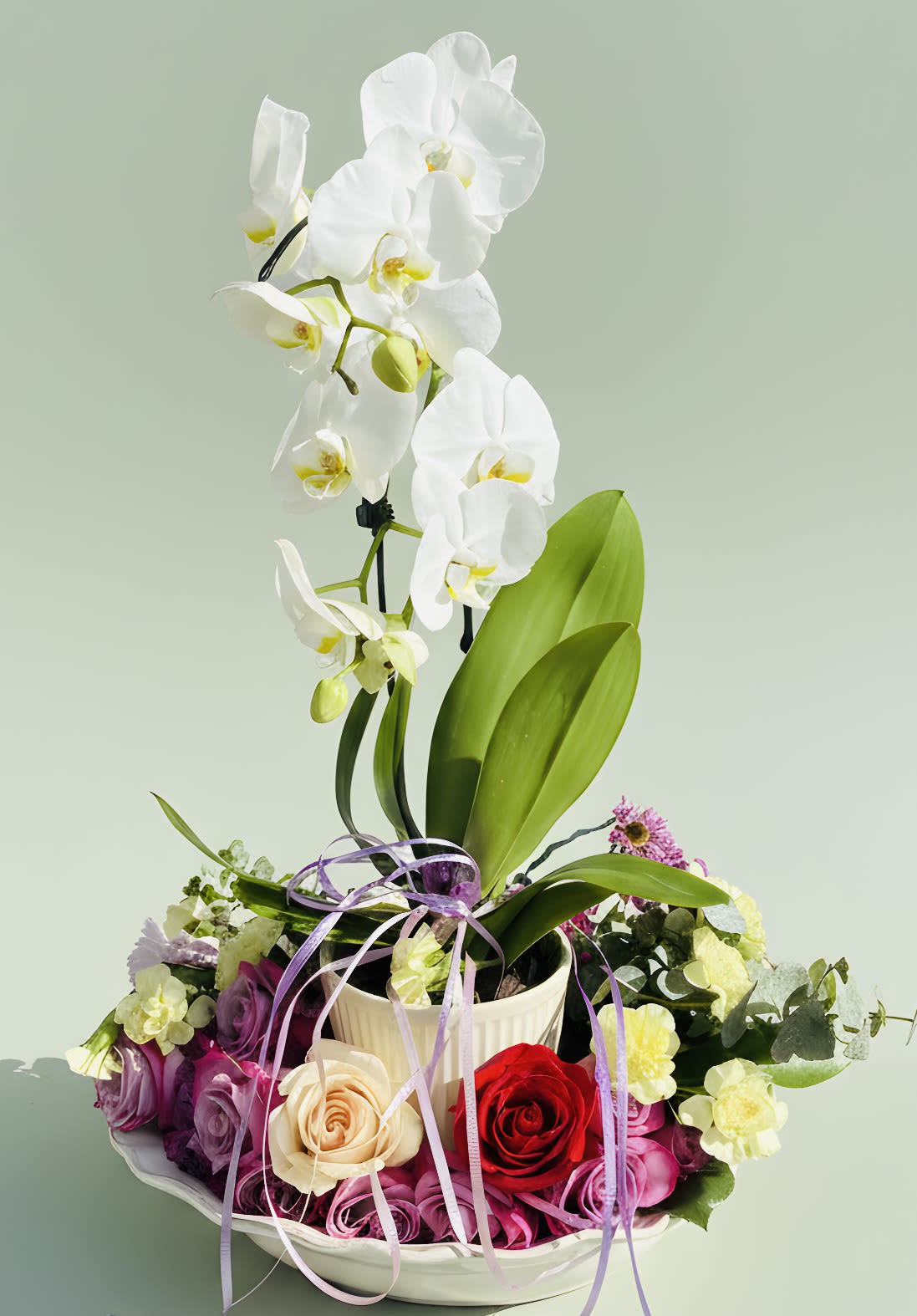 Fairytale Blooms Orchids and roses - Tall white Phalaenopsis orchids rise like a graceful statement above a low, lush base in this floral arrangement-perfect as an anniversary bouquet, Mother's Day gift, birthday surprise, or elegant celebration arrangement. The vertical drama of the orchids combined with soft pink and purple tones creates a romantic yet contemporary look that will make the person you're thinking of feel truly celebrated and seen.  The design pairs long-lasting white orchids with a full mix of roses, hydrangeas, and complementary blooms in pink, purple, cream, and touches of red, all set in a polished white ceramic container. Broad orchid leaves add structured green contrast while a purple ribbon finishes the presentation with a gift-like flourish. The overall composition is both sculptural and lush, offering visual texture from the smooth orchid stems to the rounded hydrangea heads.  Ideal for someone who appreciates refined florals and a modern silhouette, this arrangement works well on mantels, dining tables, or as a centerpiece for intimate gatherings. Care is simple: keep the vase water fresh and place away from direct sun and heat to prolong bloom life; select your preferred delivery date at checkout to ensure it arrives for the special moment.