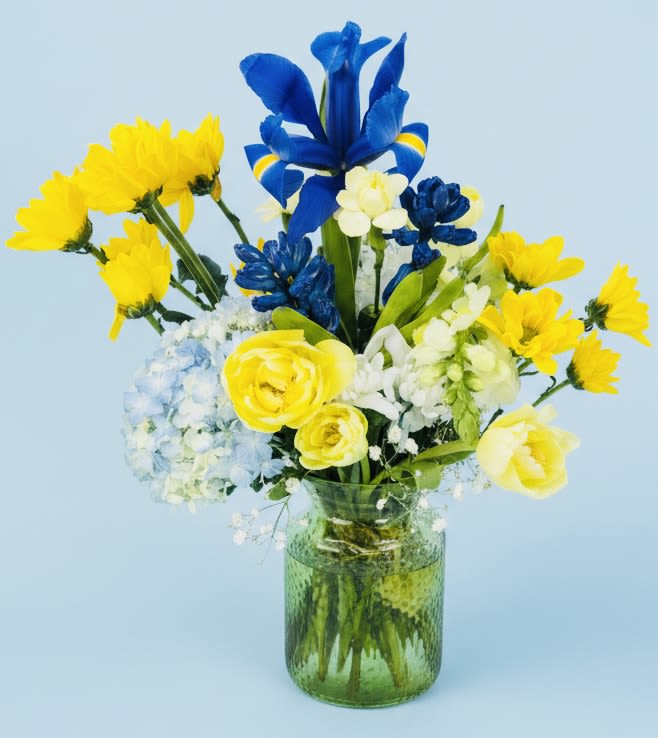 Limencello Bouquet - Bright, sunlit yellow tulip blooms ( seasonally made with rinanculus  or tulip roses and carnations blooms in lemony yellow) meet vivid blue Iris flowers and soft white accents in a tall, airy bouquet-perfect as a cheerful birthday bouquet, spring celebration arrangement, or a bright "thank you" gift. The Limencello Bouquet reads playful and energetic: flowers radiate outward for a lively silhouette so the person you're thinking of feels truly celebrated the moment it arrives.  This mixed arrangement pairs yellow tulips, blue iris-like blooms, pale blue hydrangea clusters, white ranunculus and carnations or tulip roses when available  and green filler for a fresh, layered texture. It's presented in a custom glass vase that adds modern color and weight at the base while keeping the overall look casual and breathable. Sized to make an optimistic impression on a table or counter, it's an everyday floral choice that feels equally at home for spring events or spontaneous brightening of someone's day-easy care, designed to look full and lively from delivery onward.