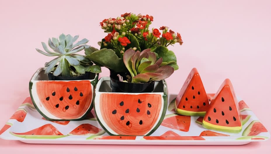 Succulent plants in watermelon-themed pots with matching decor pieces