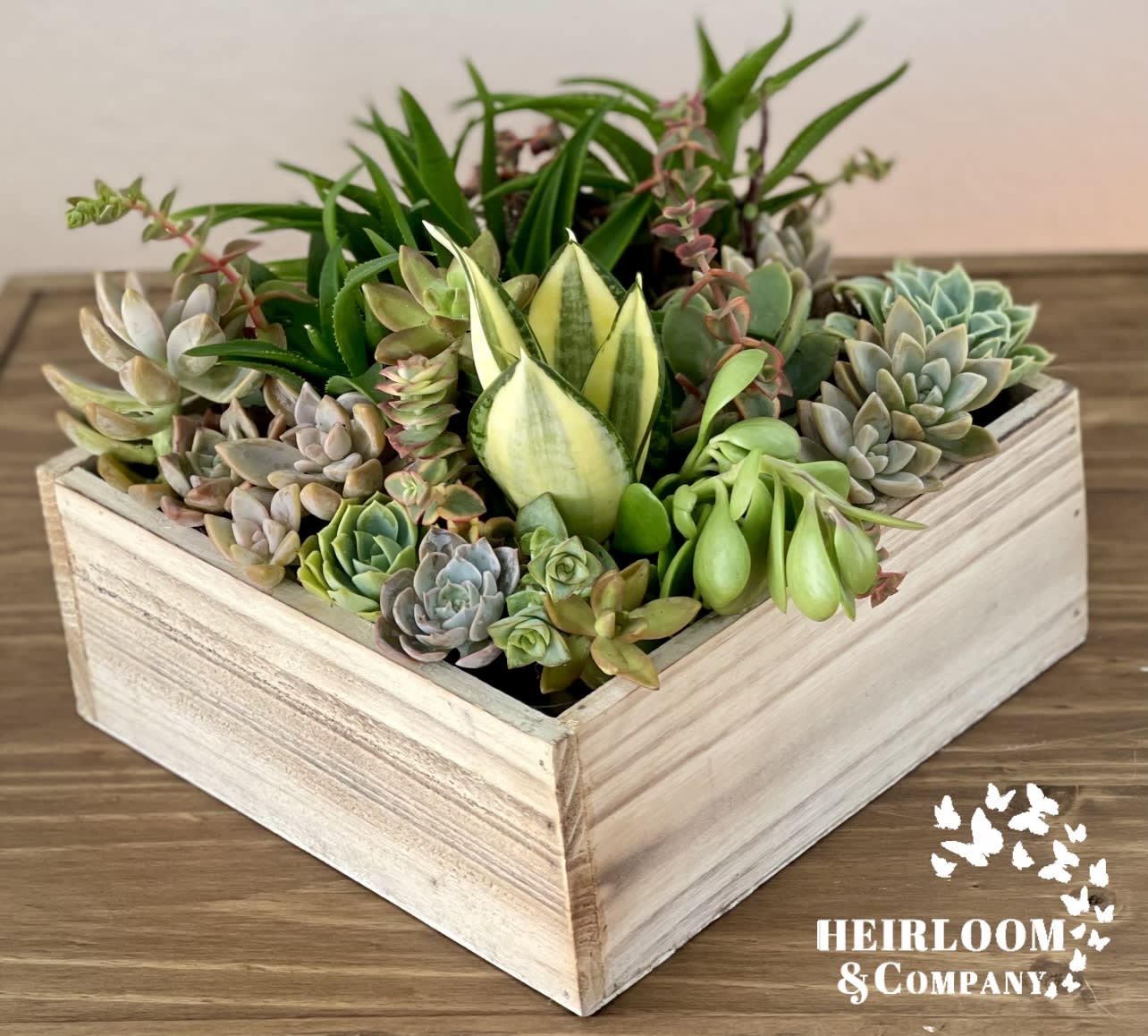 Succulent arrangement in a square wooden box