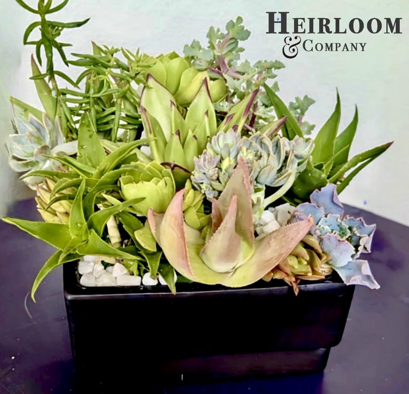 Succulent arrangement in a black rectangular planter with mixed green rosettes