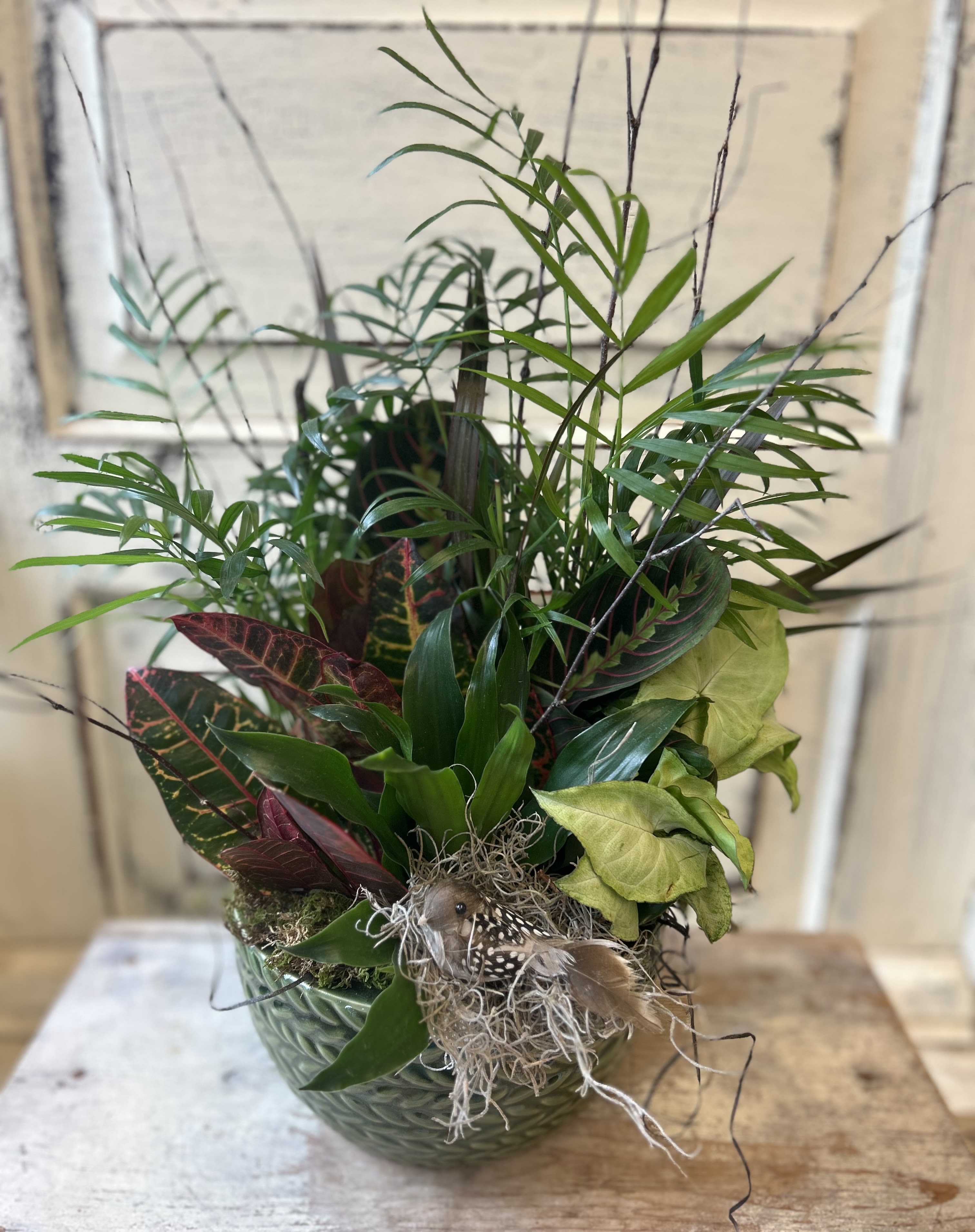 Mixed tropical plants in a glass bowl with a small bird decoration
