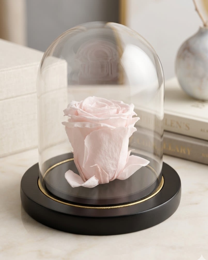 Pink Preserved Forever Rose No Stem - Enjoy the timeless beauty of a real, full-sized pink rose preserved to last for years without water or sunlight. This premium bloom is captured at its peak and elegantly displayed in a crystal-clear glass dome on a gold-accented matte black base.
