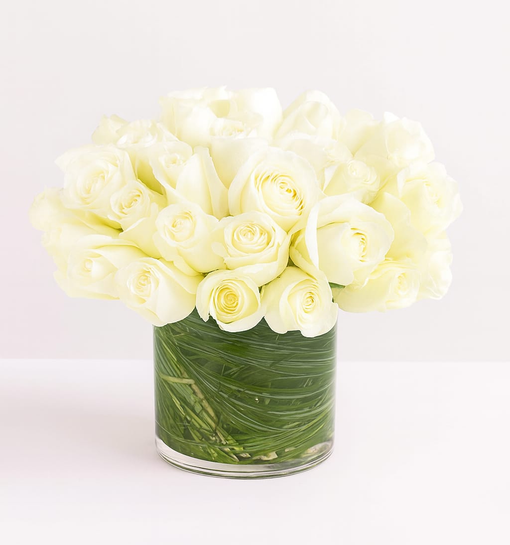Luxury in white  - Make a bold statement with this elegantly simple design. White roses symbolize hope, honor, adoration, and innocence. Two Dozen White Roses by BloomNationâ¢ is the perfect gift to welcome new beginnings or show your respects.    Arrangement Details: Three dozen red roses in a glass cylinder vase.  APPROXIMATE DIMENSIONS are 11"D X 12"H