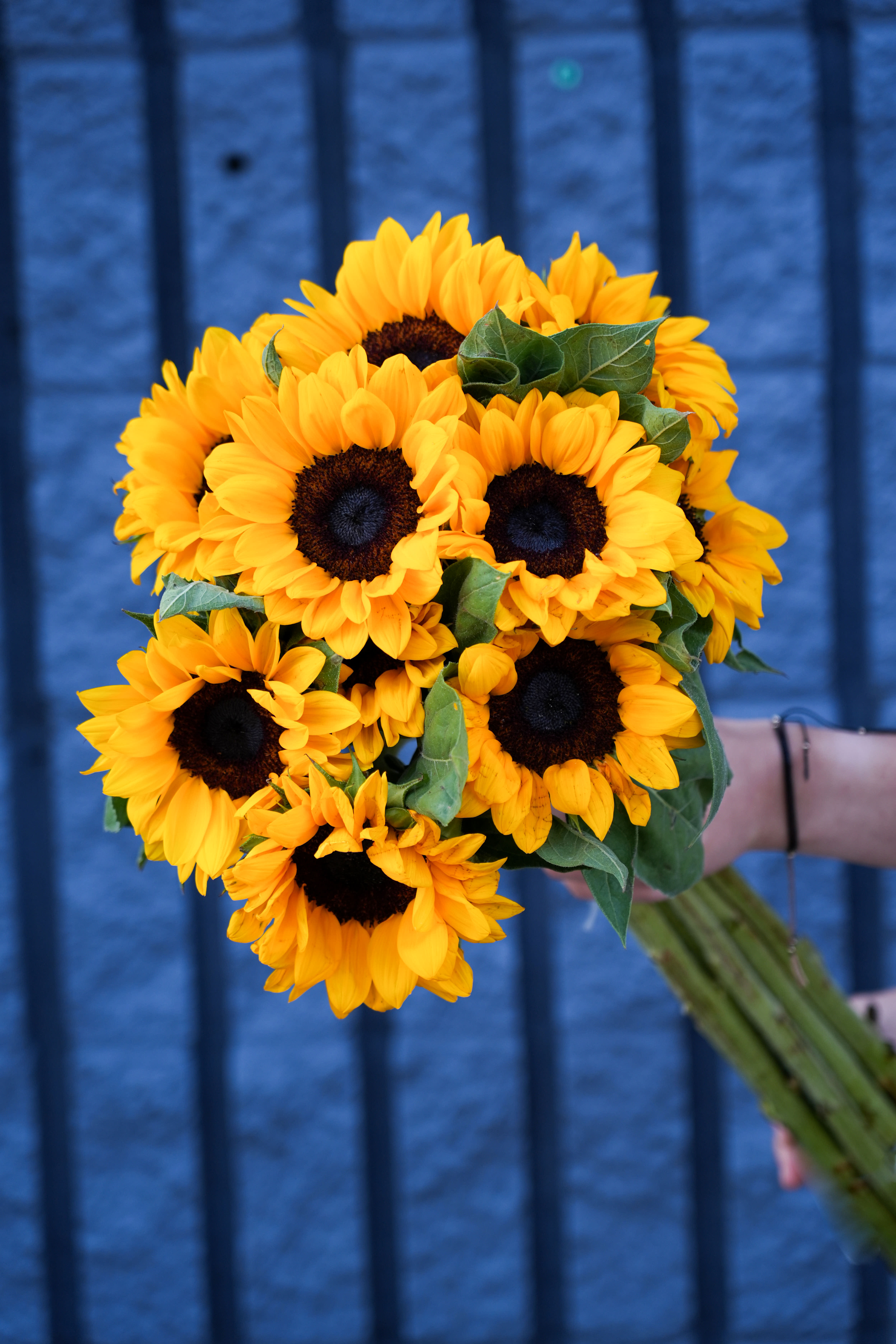 Bouquet of bright yellow sunflowers with dark centers