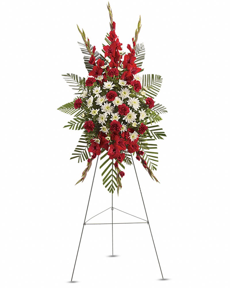 Strength &amp; Solace Spray - Express your love beautifully and tastefully with this stunning spray of red and white floral favorites. An impeccable choice for the memorial service. The magnificent spray includes red gladioli, red carnations and white cushion spray chrysanthemums, accented with emerald palm and leatherleaf fern.