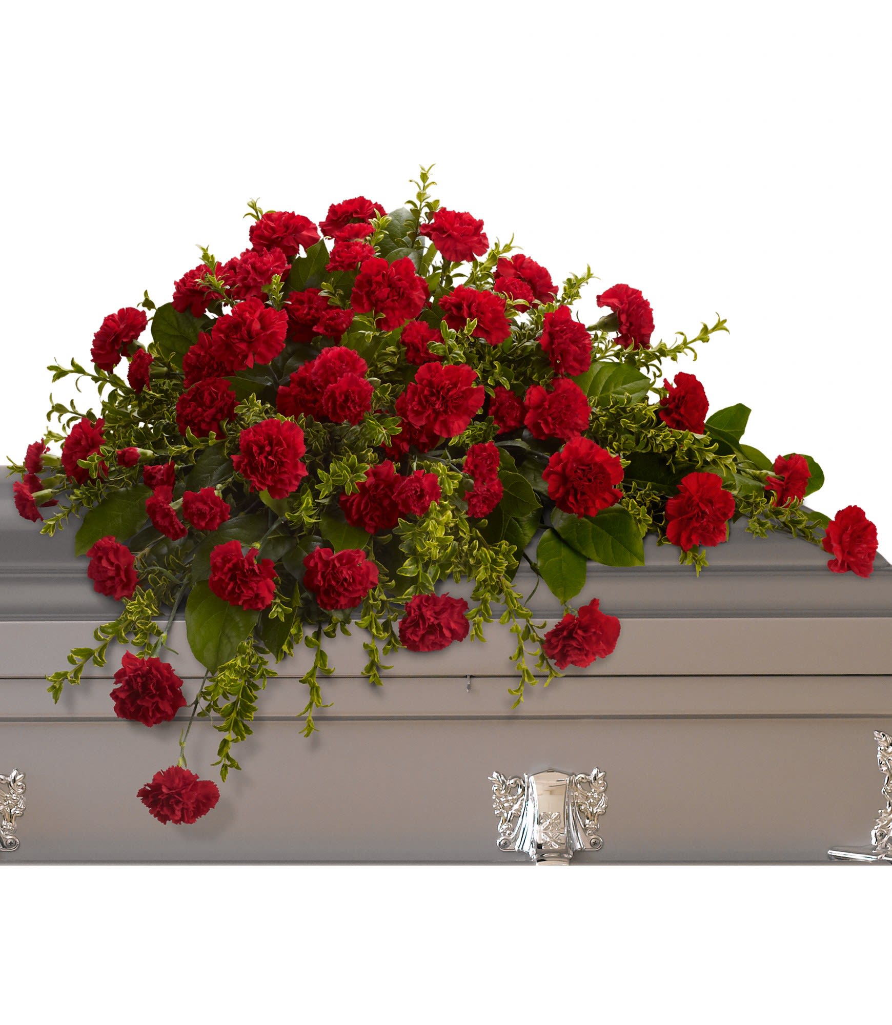 Adoration Casket Spray #t242-2 - This classic half-couch spray of brilliant red carnations makes a striking and dignified statement.  Radiant red carnations and miniature carnations accented by fresh greenery arrive in a lovely spray.  Approximately 36" W x 27" H  Orientation: N/A     ******Due to disruptions in the global supply chain and shortages, we may have to make last minute substitutions to your selected design. Don't worry, it will be beautiful! If possible on Sympathy orders to the funeral home 24 to 36 hour notice is best, so that we can try and make sure we can source your flowers. Thank you for understanding. if we need to substitute product that will alter the feel of the design, we will contact you before sending it out.****  