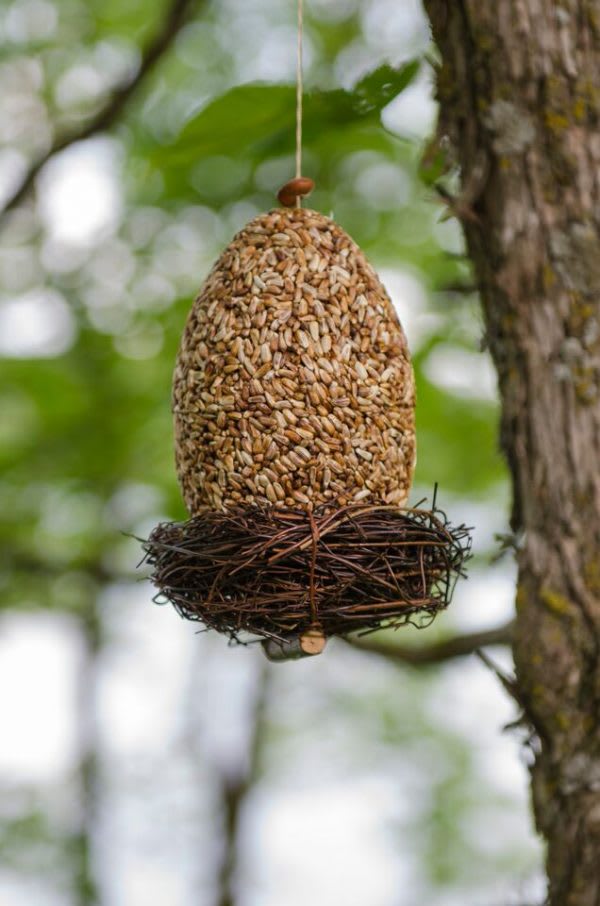 Hanging bird feeder filled with seeds on a tree