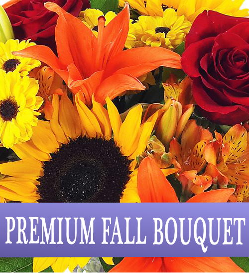 Premium Fall Designer's Choice - Let our designers hand pick the freshest fall flowers to create a one of a kind autumn bouquet for you using our most premium flowers available! This is for a large to extra large arrangement in a vase, by selecting the deluxe or premium option you can increase the size and flower quantity of the arrangement.