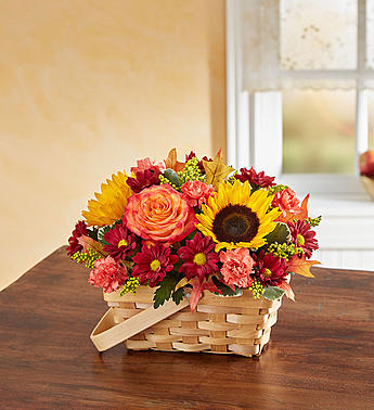 Fields of Europe Fall Basket - Bring the picturesque flower fields of Europe to those you care about with our best- selling autumn arrangement. We’ve gathered rich, colorful blooms into a charming handled basket as a reminder that no matter how near or far, they’re always on your mind and in your heart.