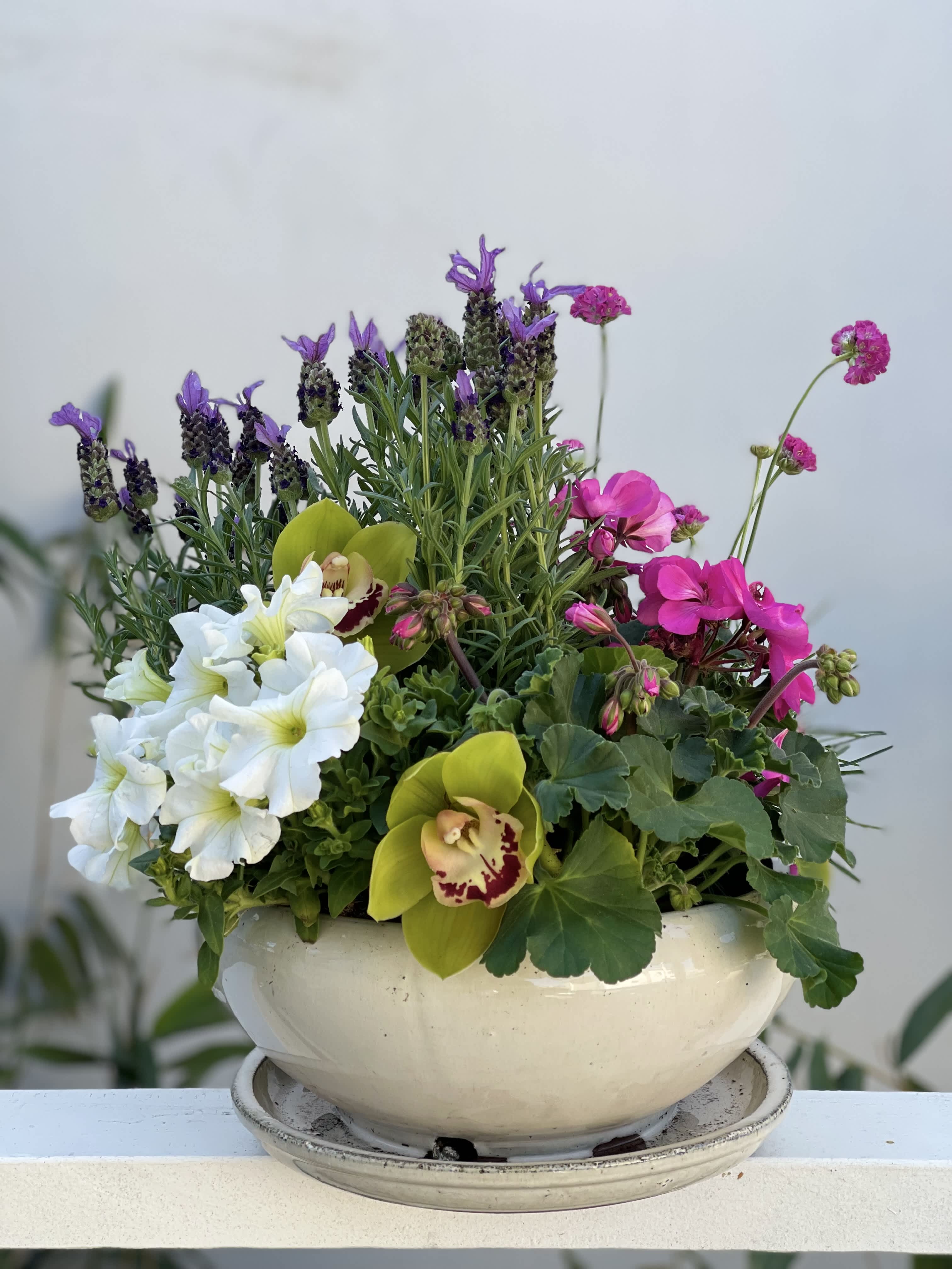 Mixed flowering plants with white blooms, pink flowers, and green cymbidium orchids in a white ceramic bowl planter