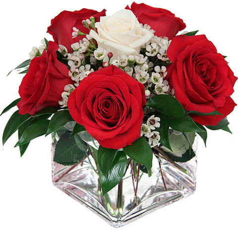 Innocence - Introducing the "6 Roses Bouquet with Premium Red and One White Rose in a Glass Vase" - a cute and loving gesture of affection. This charming bouquet features five premium red roses and one white rose, hand-selected for their fresh quality and beauty. The roses are arranged in a beautiful glass vase, adding a touch of elegance to the presentation.  This bouquet is the perfect way to express your love and appreciation on Valentine's Day. The red roses symbolize love and passion, while the white rose symbolizes purity and innocence, creating a harmonious balance of emotions. The fresh quality of the roses ensures they will last for days, allowing your loved one to enjoy the beauty of the bouquet long after Valentine's Day has passed.  Flowers Included:  Roses: 6  Also Included:  Vase &amp; Greenery 