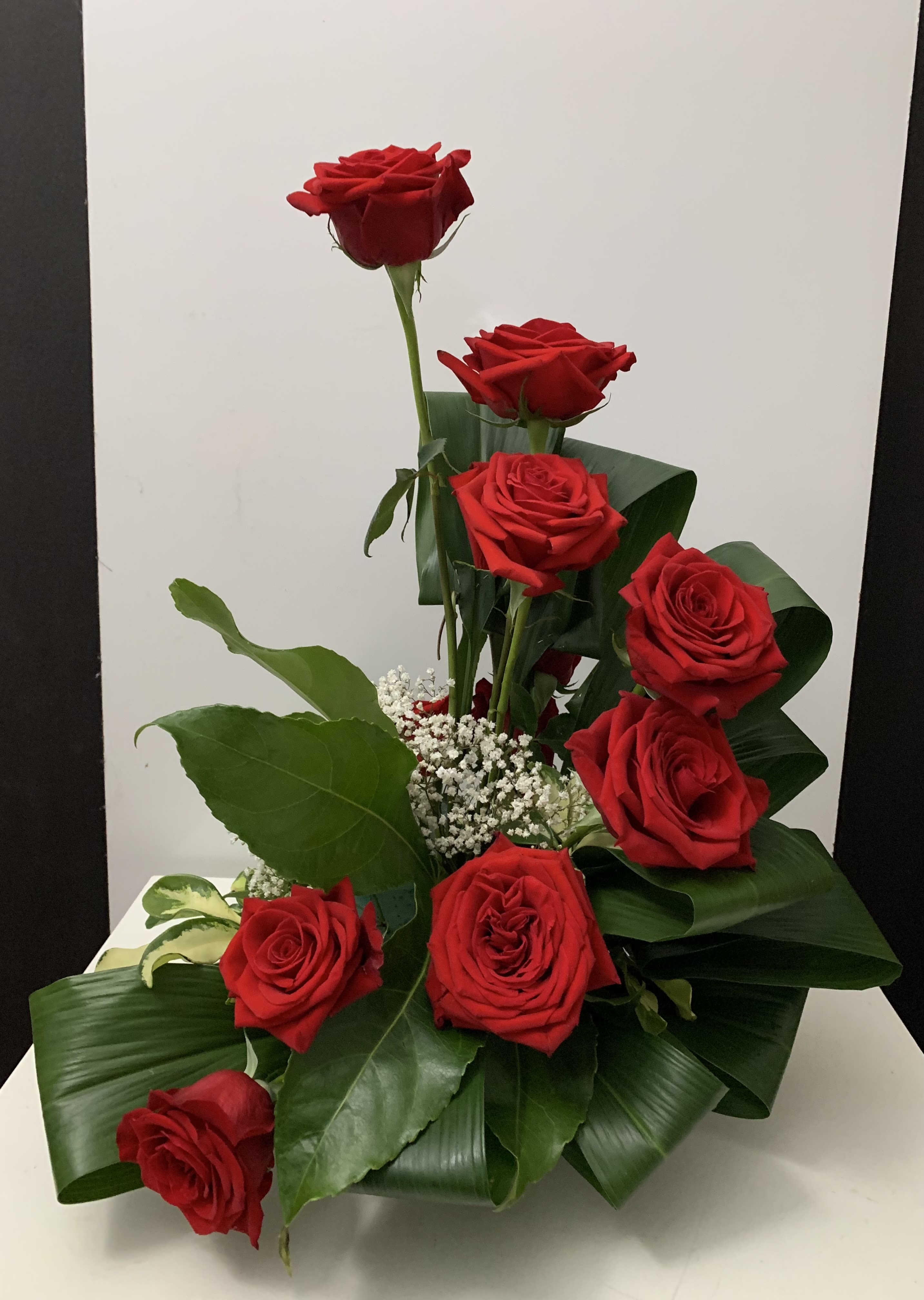 Arrangement of red roses with white filler flowers and broad green leaves