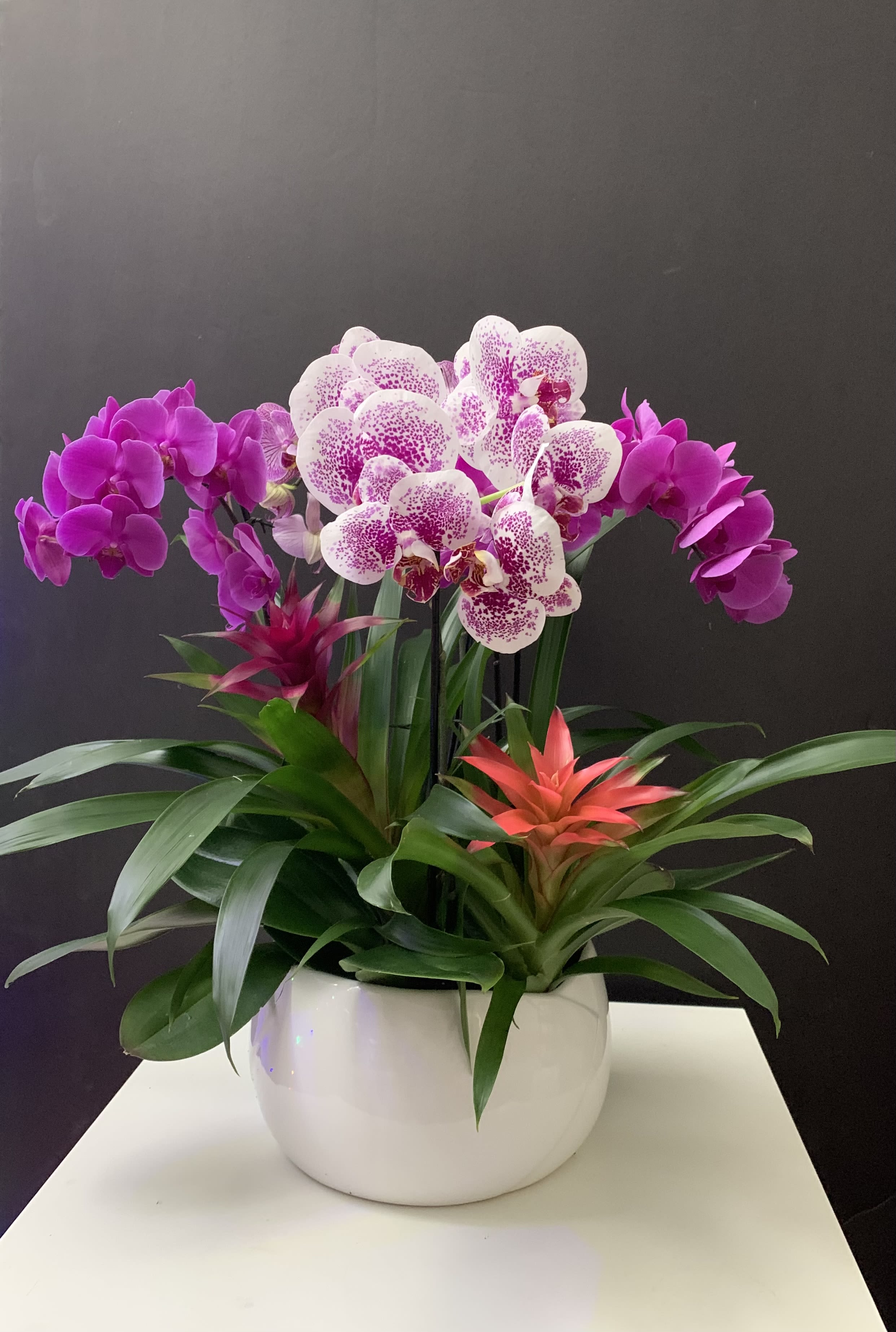 Potted orchid arrangement with pink, white-speckled blooms and orange bromeliads