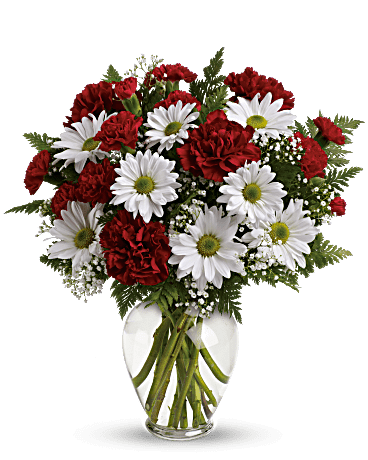 Red carnations and white daisies in a clear glass vase